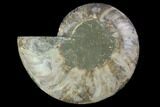 Agatized Ammonite Fossil (Half) - Madagascar #88175-1